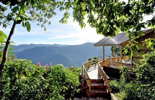 oneonly Nyungwe house